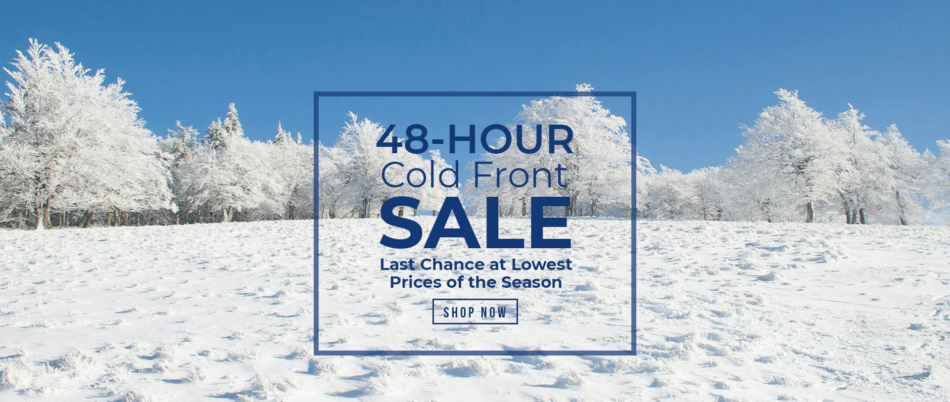 Iconic Style for the Original